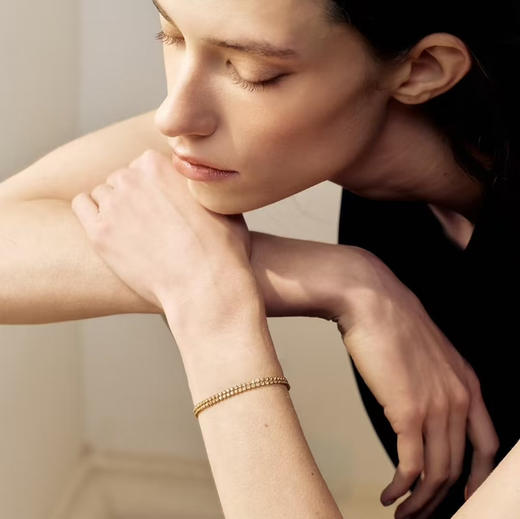 SAGA世家表 · 星迹双生手链2026年新款高颜值双排镶钻款时尚女士手链 商品图3