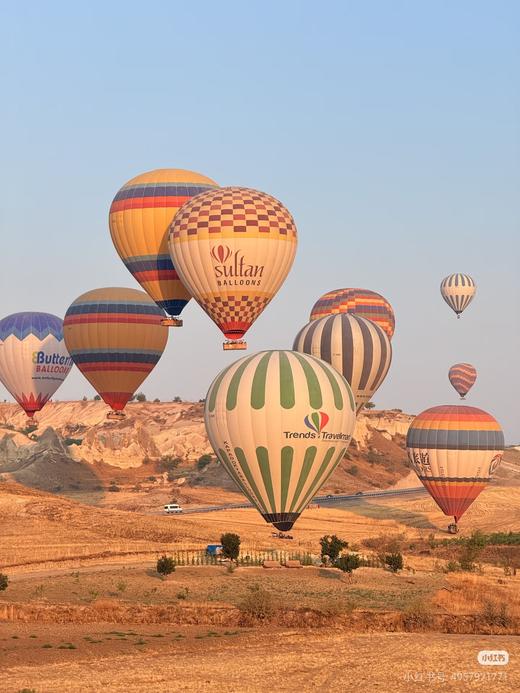 【专家研学团】暑期研学膨胀金 商品图9