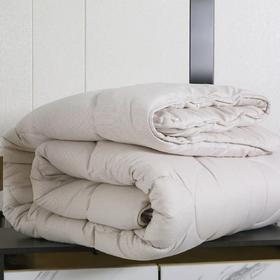 【春上新】10楼堂皇    智暖大豆亲肤春秋被 200x230胎重600g      吊牌价320元 活动价99元