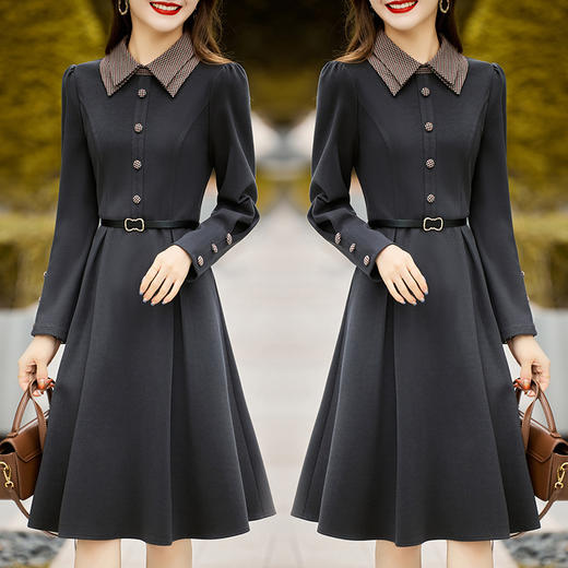 丁摩 秋冬新款时尚舒适气质修身显瘦呢料连衣裙5ZF-6927 商品图2