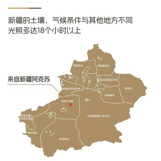 【春上新】10楼堂皇       暖暖棉花冬被      吊牌价1890-2190元活动价299-399元 商品图3