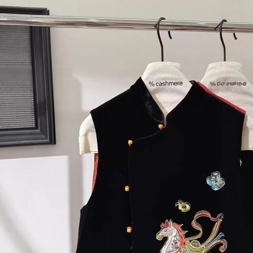 丁摩 早春新款新中式国风本命年重工刺绣真丝绒坎肩马甲上衣5ZF-043 商品图2