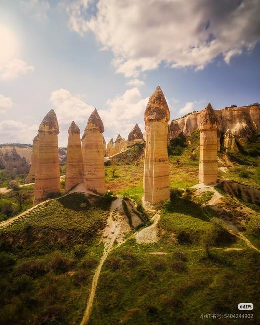 【专家研学团】暑期研学膨胀金 商品图8