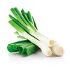大葱（精品） （500±50g） 商品缩略图1