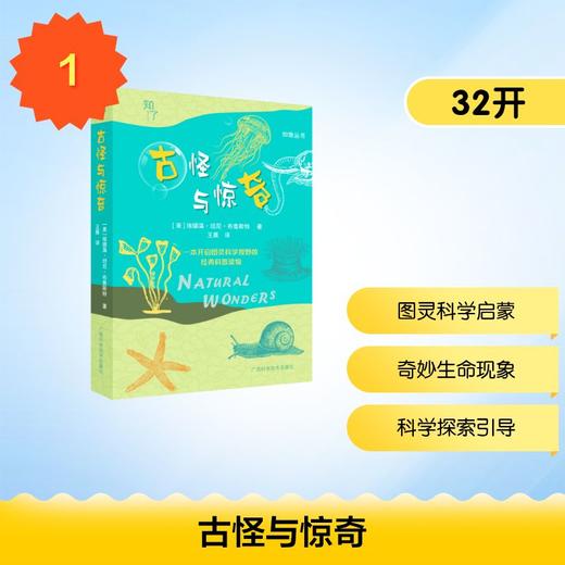 古怪与惊奇 商品图0