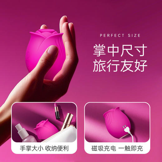 blush 玫闺吮吸器 商品图3