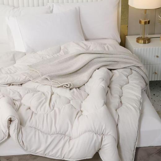 【春上新】10楼堂皇    智暖大豆亲肤春秋被 200x230胎重600g      吊牌价320元 活动价99元 商品图3