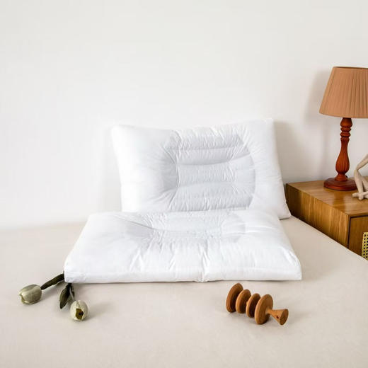 梦之语植物荞麦枕 商品图0