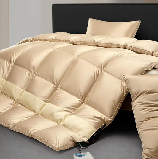 罗曼罗兰莫桑里斯鹅绒被200x230cm 商品图0