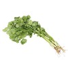 香菜（份）（约100g） 商品缩略图1
