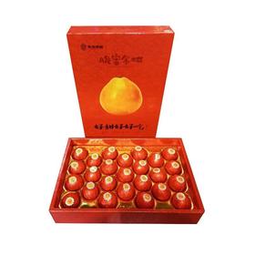 东海爆桔脆蜜金桔礼盒