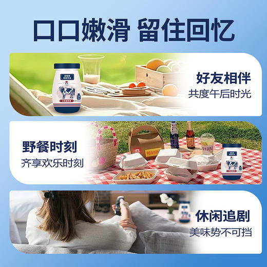 「原味老酸奶」珍果园原味老酸奶180ml*12瓶 营养野餐追剧午后餐饮风味酸奶饮品 商品图3