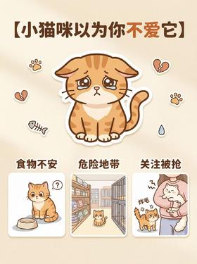小猫咪以为你不爱它💔