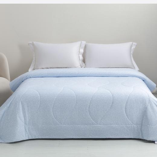 【春上新】10楼堂皇      漫柔沁爽纤维夏被  200x230cm胎重460g  吊牌价690元   活动价139元 商品图0