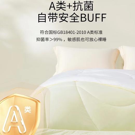 【春上新】10楼堂皇     芝士能量冬被     吊牌价890-1090元  活动价239-279元 商品图3