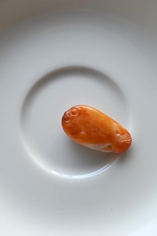 发财有余·沁黄独籽发财鱼【 嘉石2622】 商品图4