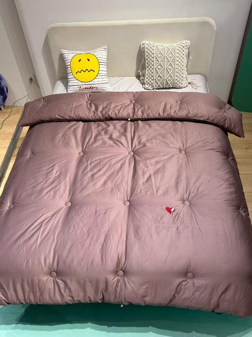 【断码冬被集合清仓】100S长绒棉冬被/ 全棉棉花被【不支持退换货】 商品图4