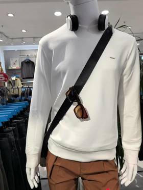 阿尔皮纳袋鼠