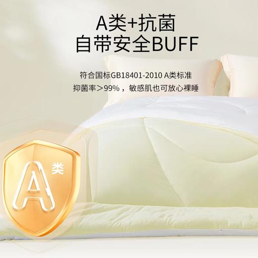 【春上新】10楼堂皇     芝士能量冬被     吊牌价890-1090元  活动价239-279元 商品图1