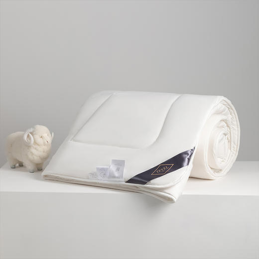 【春上新】10楼堂皇  澳洲抗菌羊毛冬被   吊牌价1090-1190元  活动价299元（大小同价） 商品图2