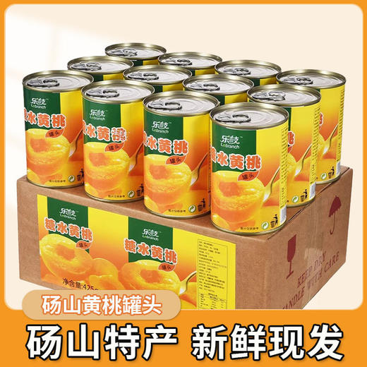 春节不打烊【|果肉鲜美❗️细腻留香】砀山特产糖水黄桃罐头425g整箱装新鲜水果捞餐饮商用烘培专用罐头。jd 商品图1