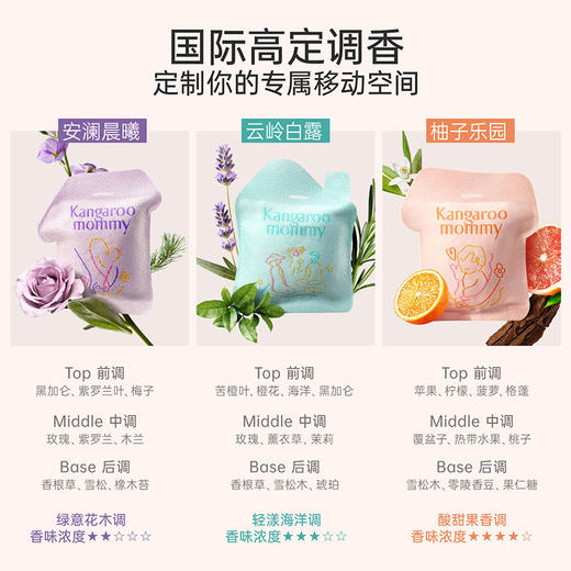 【车载香氛】联合国际香氛巨头芬美意研发  净异味更清香 安澜晨曦（绿意花木调）/云岭白露（轻漾海洋调）/柚子乐园（酸甜果香调） 商品图2