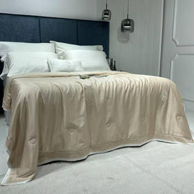 梦之语天丝夏被