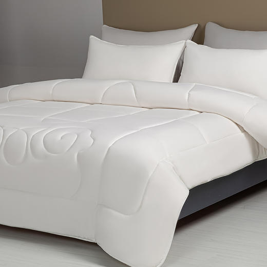 【春上新】10楼堂皇  澳洲抗菌羊毛冬被   吊牌价1090-1190元  活动价299元（大小同价） 商品图0