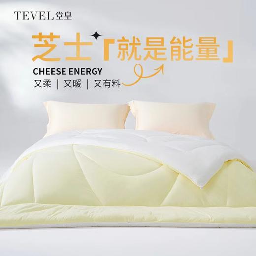 【春上新】10楼堂皇     芝士能量冬被     吊牌价890-1090元  活动价239-279元 商品图0