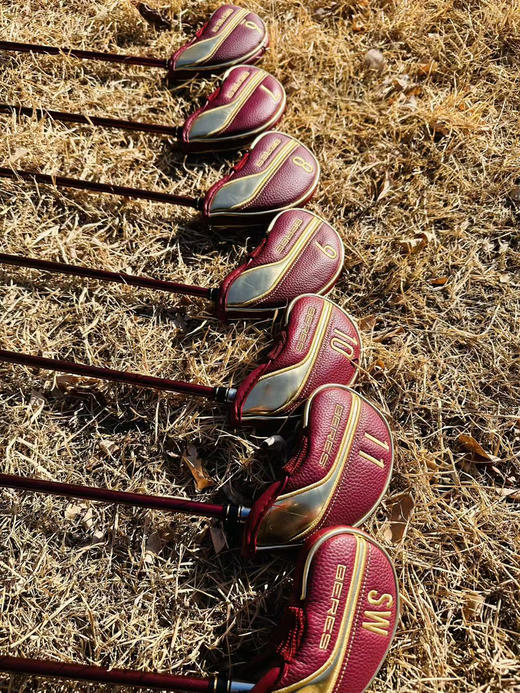 几乎全新HONMA女士四星套杆 商品图2