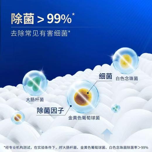 【特价】蓝月亮男士内衣洗-青柠500g【效期2026年9月】 商品图2