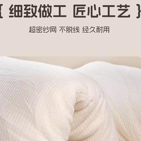 【春上新】10楼堂皇       暖暖棉花冬被      吊牌价1890-2190元活动价299-399元