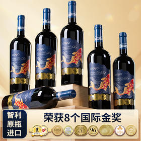 傲鱼智利原装原瓶进口赤霞珠红酒干红葡萄酒750ml