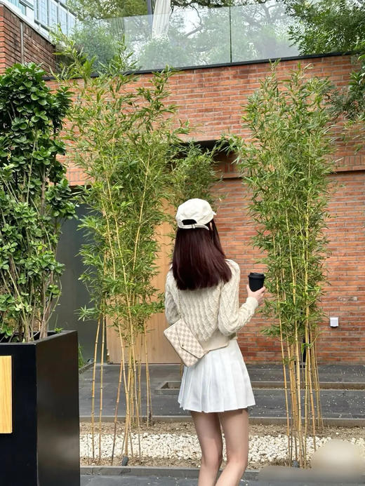 Lv 白棋盘格 三合一 链条包 商品图3