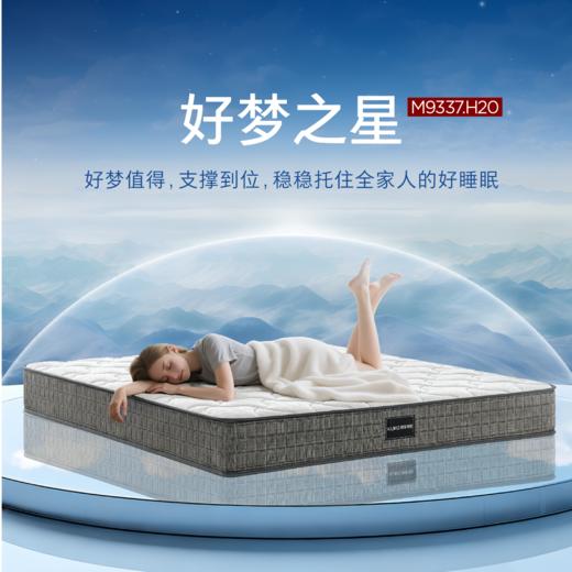 顾家家居整装 现代舒适 床垫 M9337.H20-好梦之星 商品图0