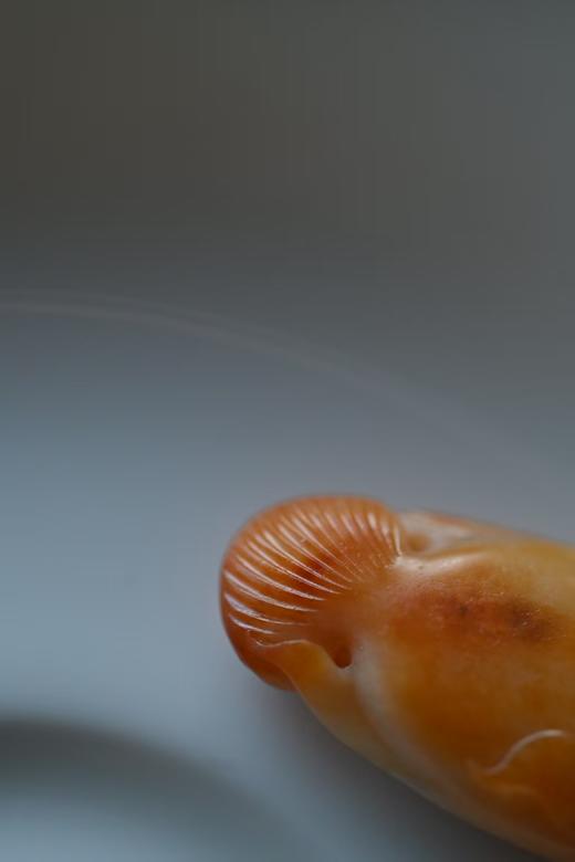 发财有余·沁黄独籽发财鱼【 嘉石2622】 商品图2