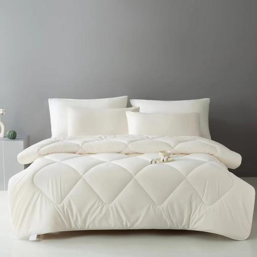 【春上新】10楼堂皇  雅润大豆纤维春秋被，冬被  吊牌价550-790元活动价119-179元 商品图0