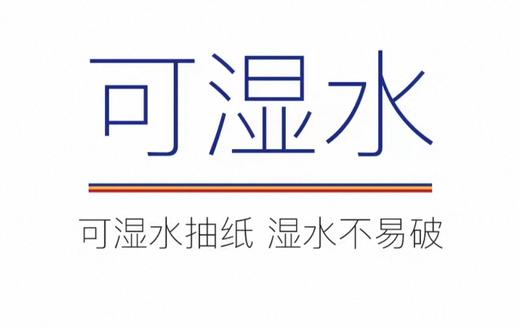 苏软软真值悬挂式抽取面巾纸300张75抽 商品图4