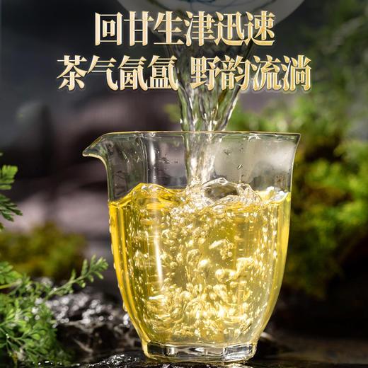 【大年初二限时首发】2026年头春马年生肖纪念易武冷水河高杆古树生茶饼茶357克/片 商品图3