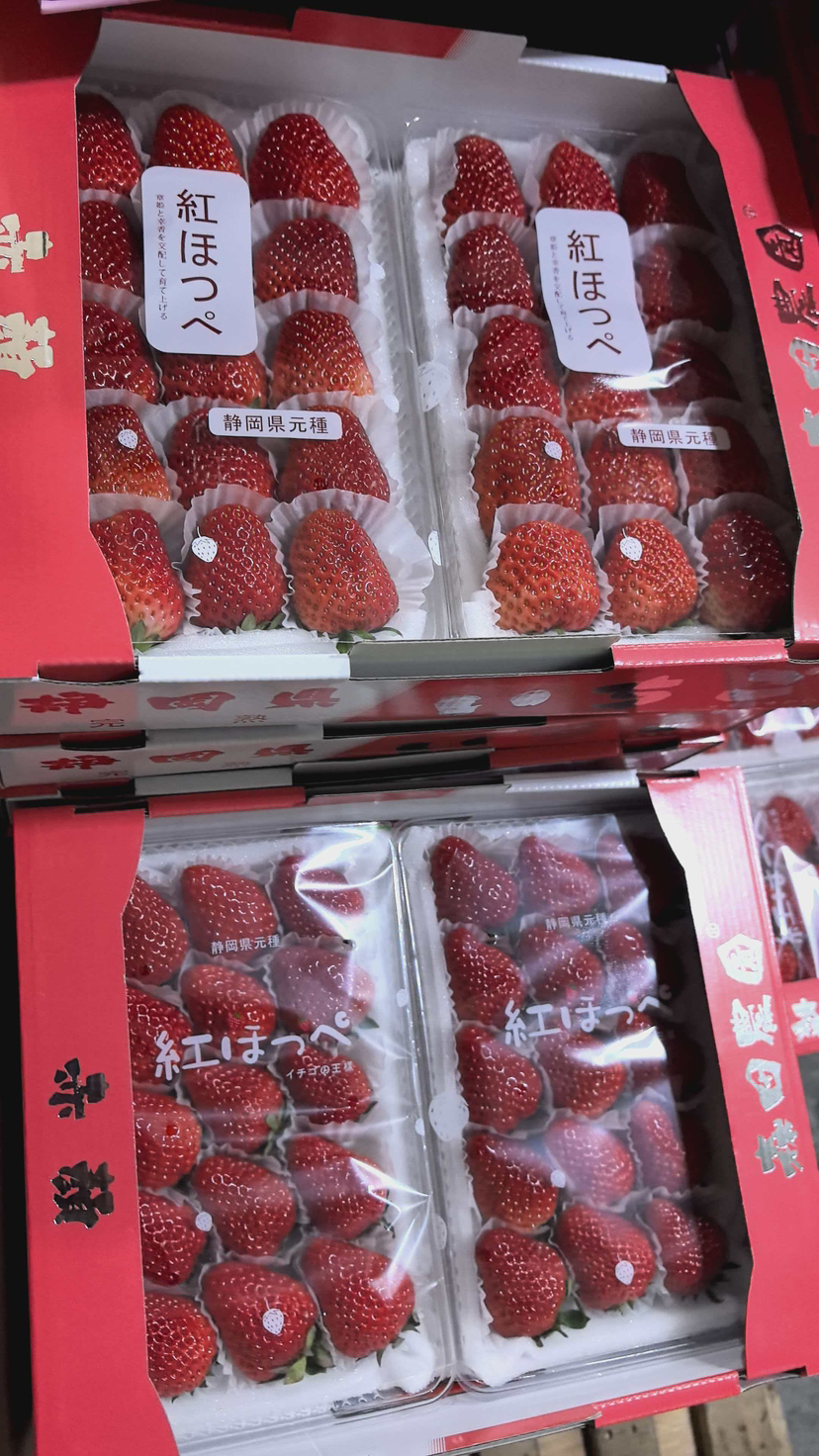 草莓🍓新鲜采摘炒鸡好吃，甜甜的香香的，草莓味道很棒。