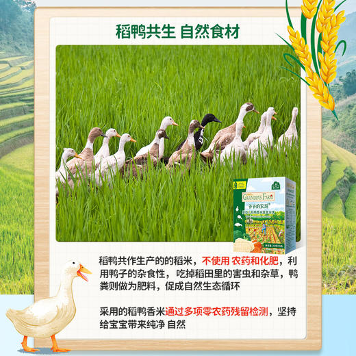 爷爷的农场婴幼儿稻鸭香米蔬菜米饼32g 商品图1