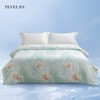 【春上新】10楼堂皇盛夏物语纤维夏被-绿色200x230cm  吊牌价590元   活动价99元 商品缩略图0