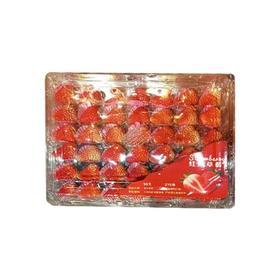 红颜草莓约1000G