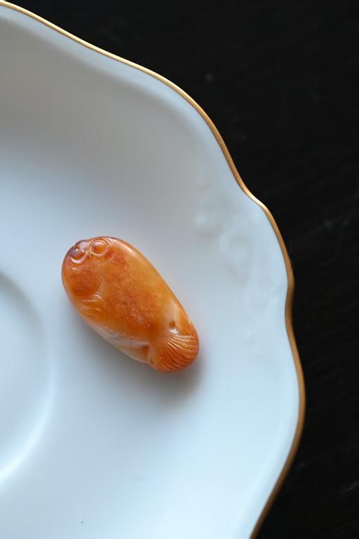 发财有余·沁黄独籽发财鱼【 嘉石2622】 商品图0