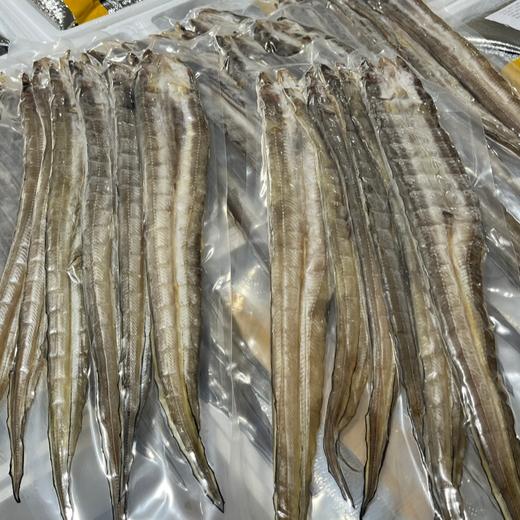 纯野生真油鳗鱼干【属于名贵海鱼，真七星鳗鱼，俗称油鳗鱼】 商品图4