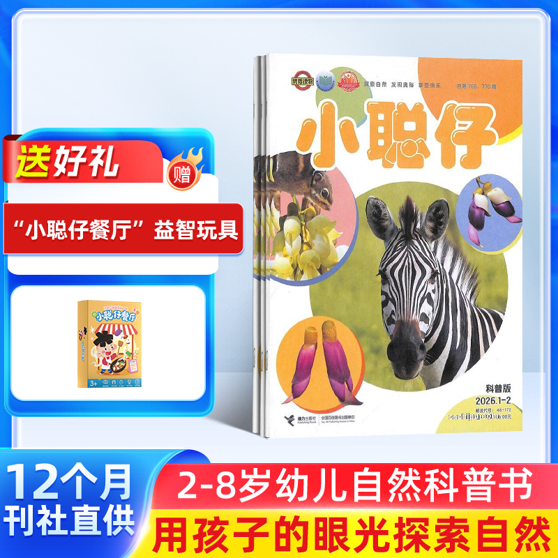 【胖爸专享】小聪仔自然科普版  1年共12期 自然动物儿童科学期刊杂志 杂志订阅
