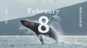 正念冥想疗愈 | 正念三步呼吸空间