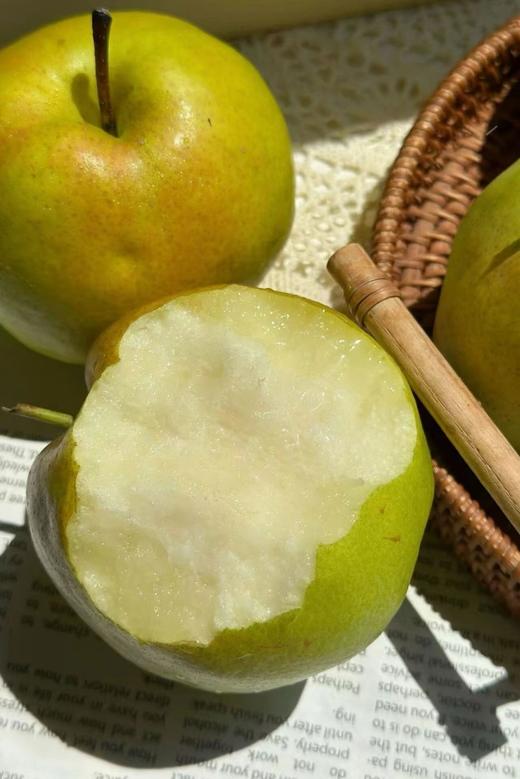 新疆玉露香梨  6斤礼盒装/约7-8枚 商品图1