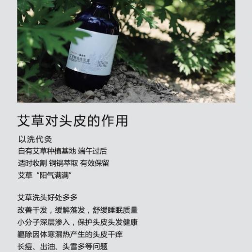 艾草洗发露 商品图3