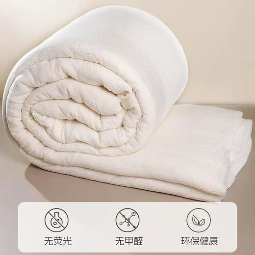 【春上新】10楼堂皇       暖暖棉花冬被      吊牌价1890-2190元活动价299-399元 商品图4